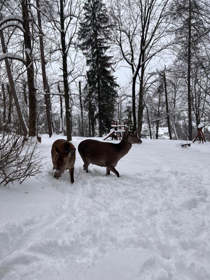 Nauczycielskie Centrum Zakopane Bagian luar foto