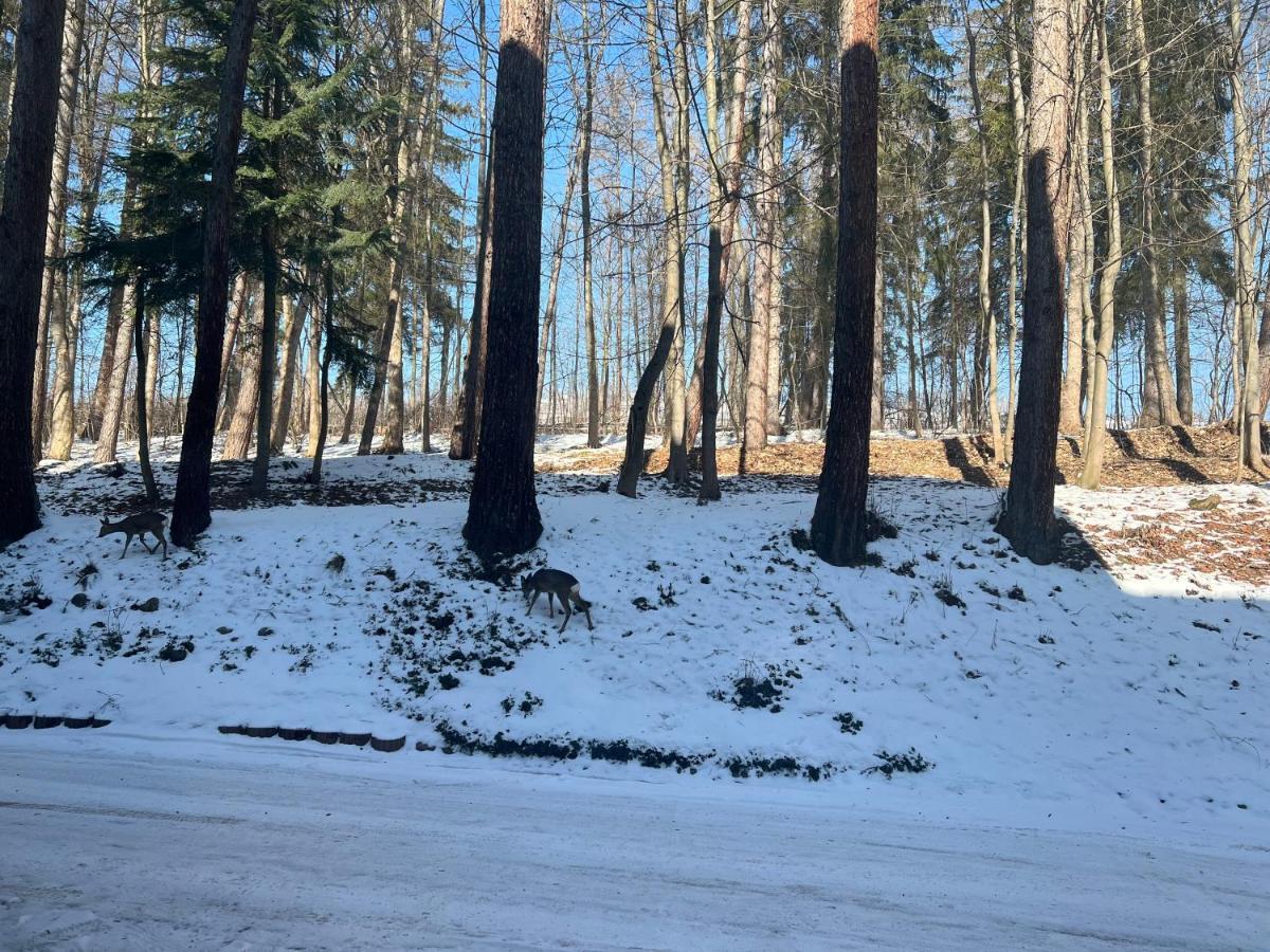 Nauczycielskie Centrum Zakopane Bagian luar foto
