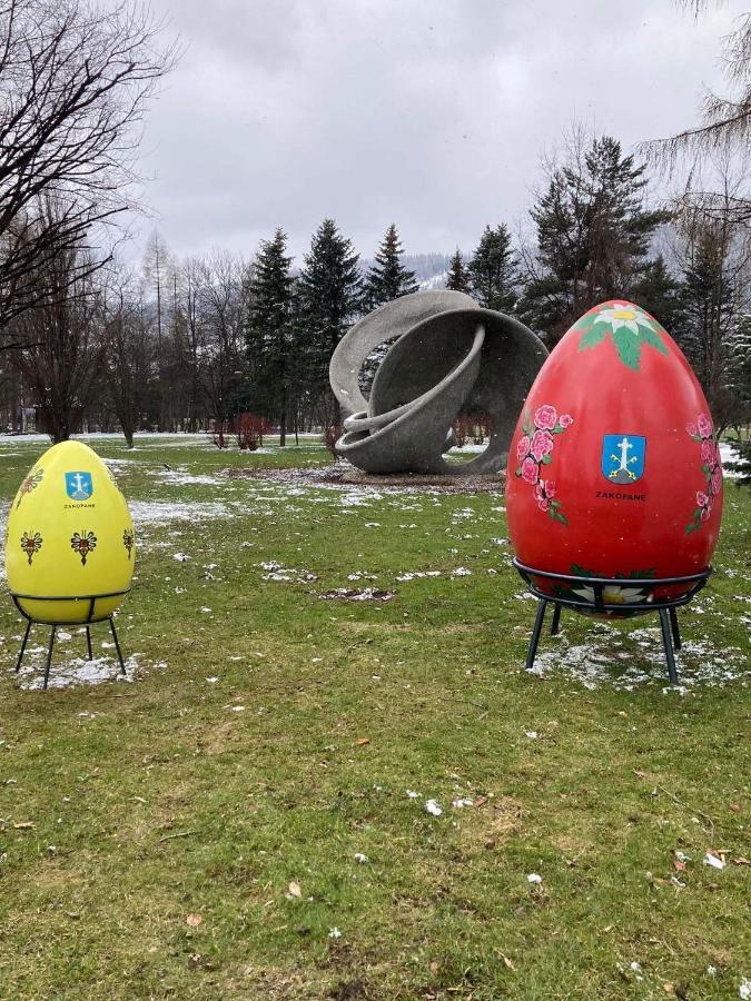 Nauczycielskie Centrum Zakopane Bagian luar foto