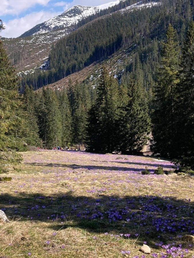 Nauczycielskie Centrum Zakopane Bagian luar foto