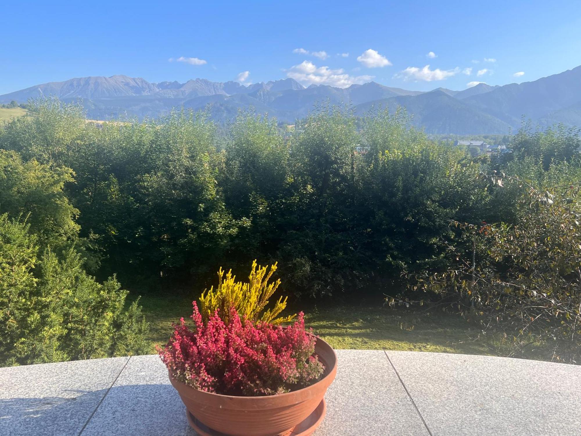 Nauczycielskie Centrum Zakopane Bagian luar foto
